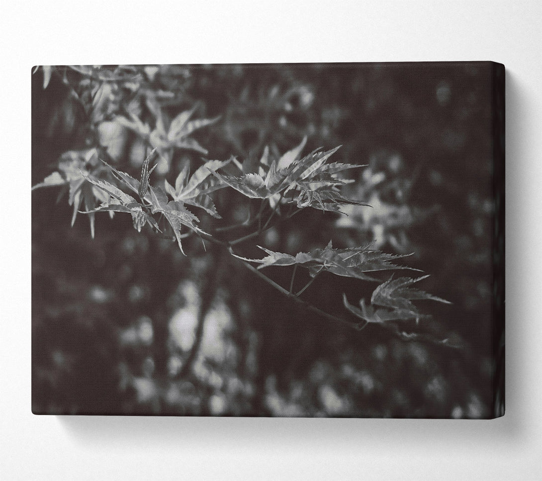  A Canvas Print of Dark Green Leaves Canvas Wall Art