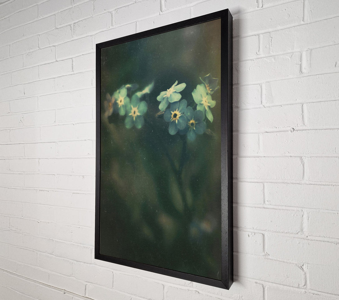  A Canvas Print of Green Forget-Me-Nots Canvas Wall Art