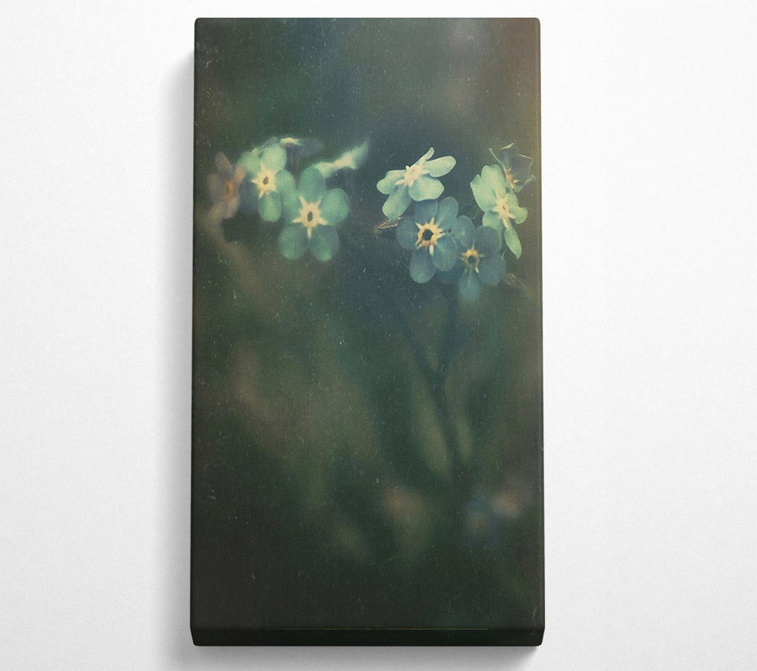  A Canvas Print of Green Forget-Me-Nots Canvas Wall Art