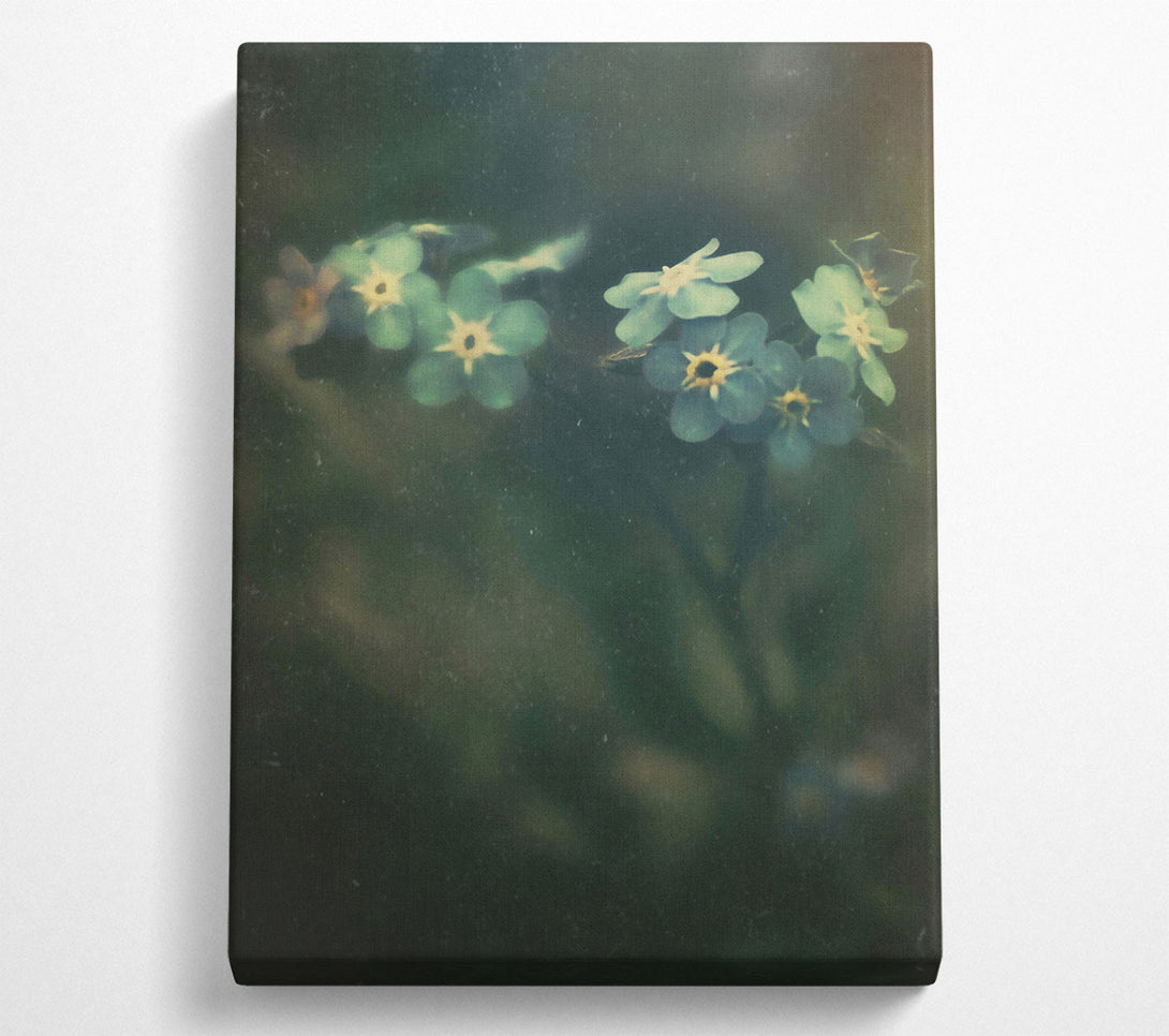  A Canvas Print of Green Forget-Me-Nots Canvas Wall Art