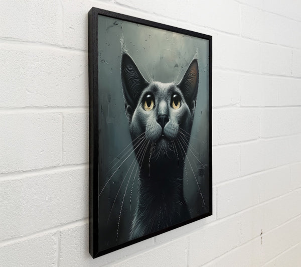Gray Cat Gazing Upward