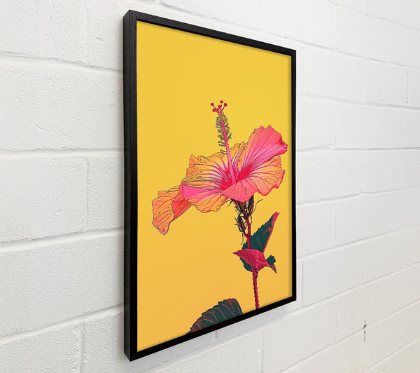 Yellow Hibiscus Bloom