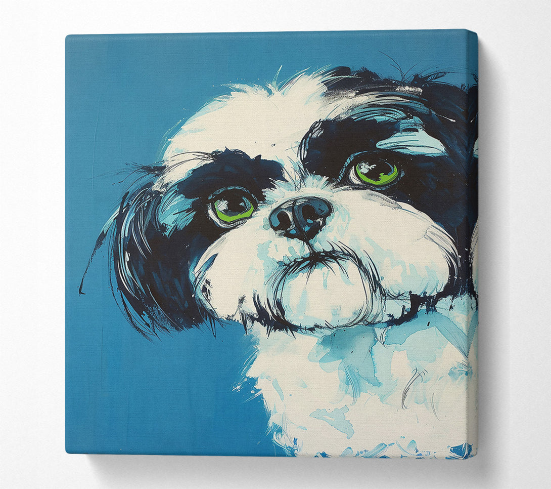  A Canvas Print of Blue Eyed Wonder Canvas Wall Art