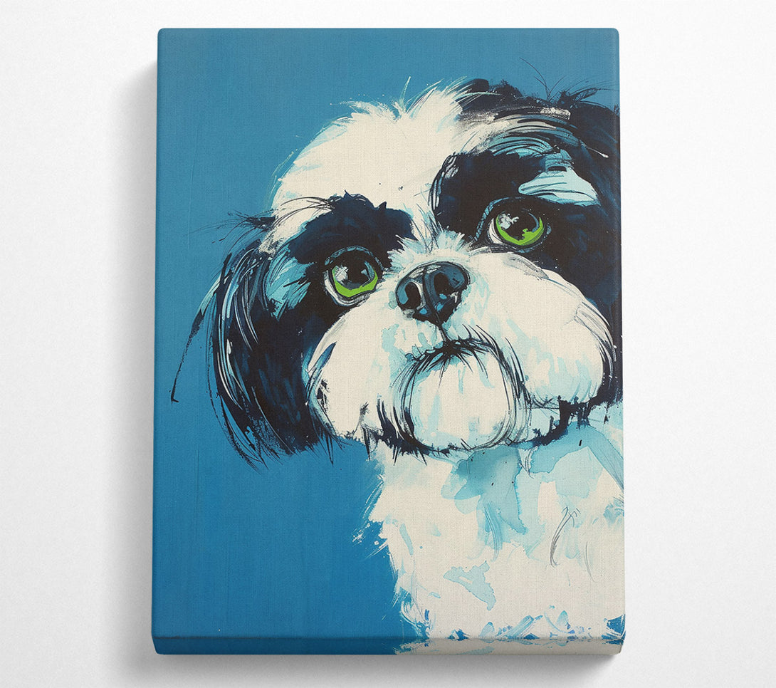  A Canvas Print of Blue Eyed Wonder Canvas Wall Art