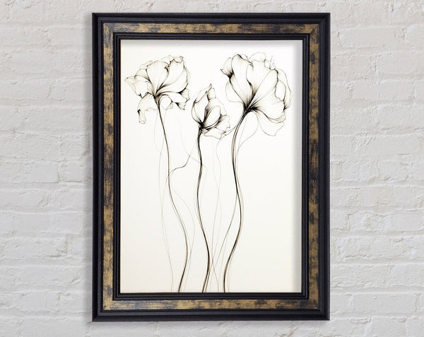 Three Little Flowers Framed Print