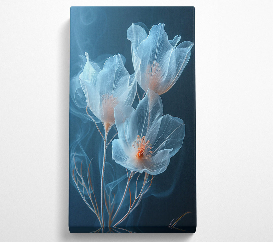  A Canvas Print of Translucent Flowers Canvas Print