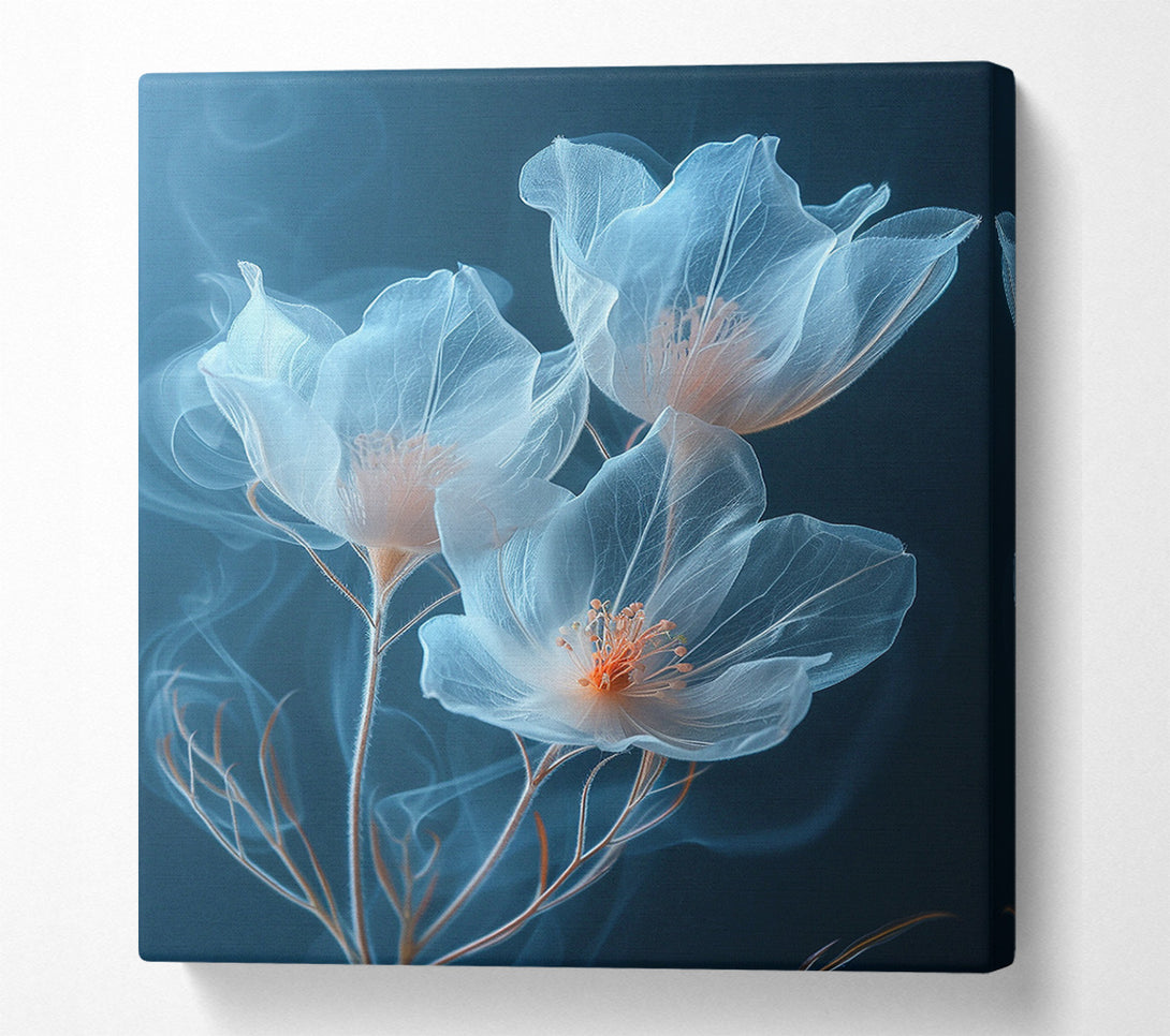  A Canvas Print of Translucent Flowers Canvas Print