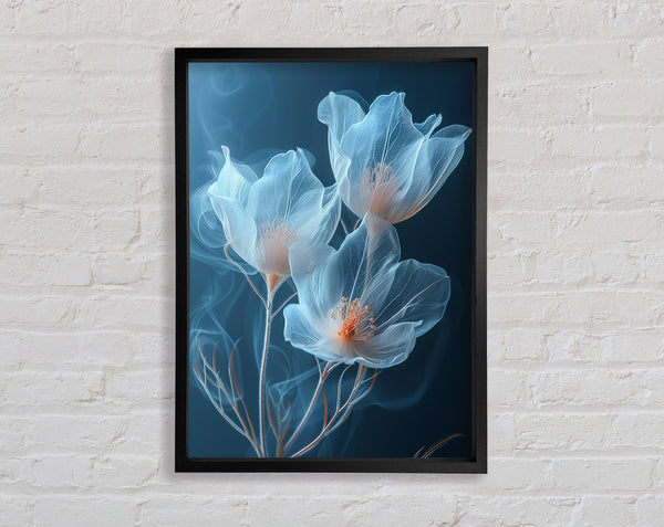 Translucent Flowers Framed Print