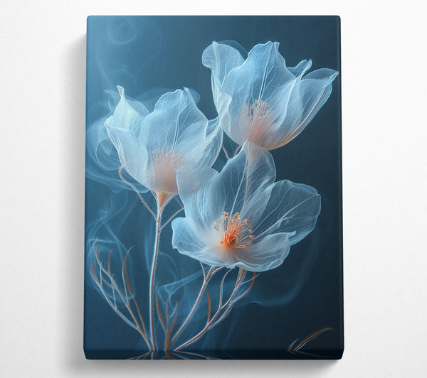  A Canvas Print of Translucent Flowers Canvas Print