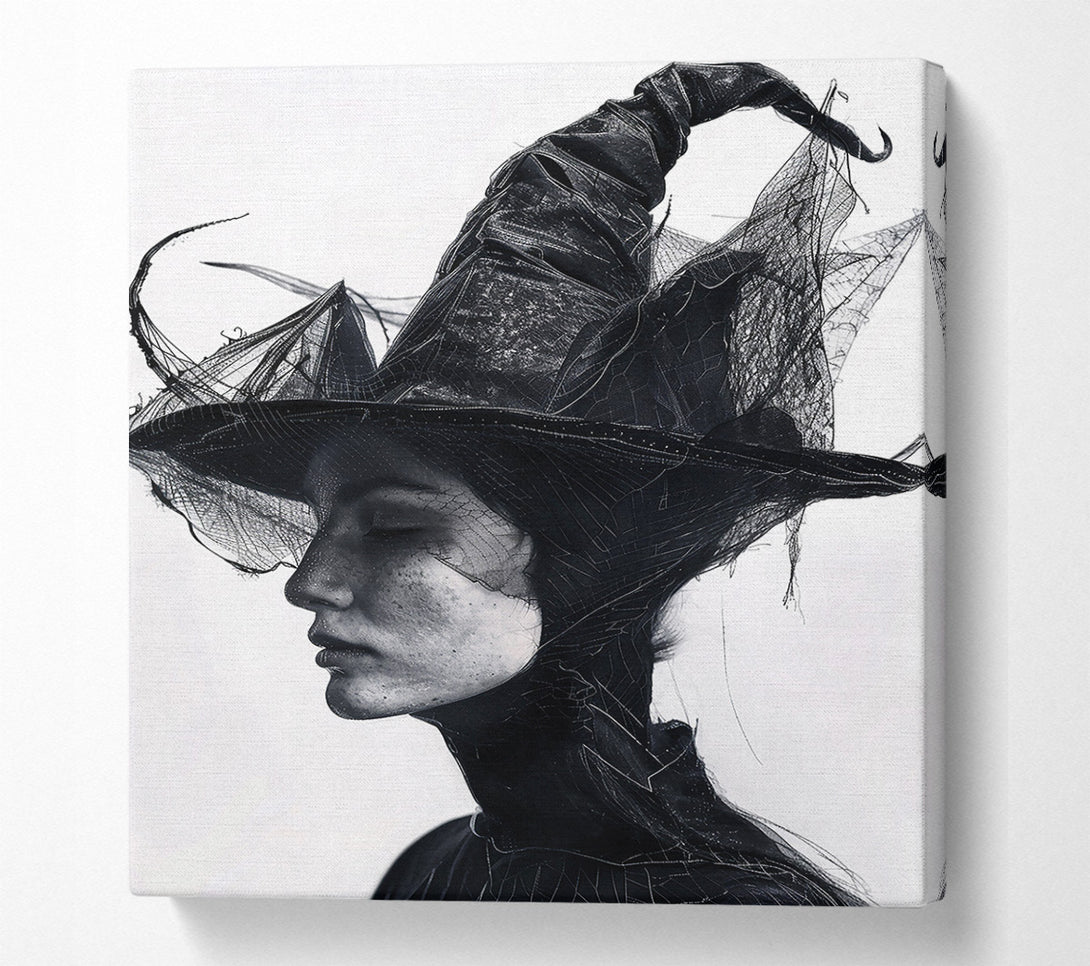  A Canvas Print of Black Veil Enchantment Canvas Art