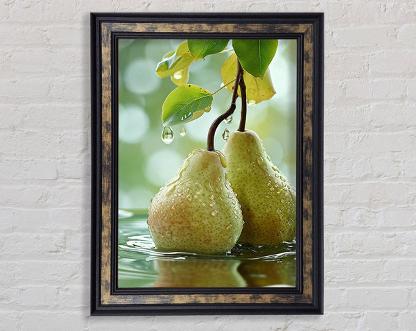 Two Pears Framed Print