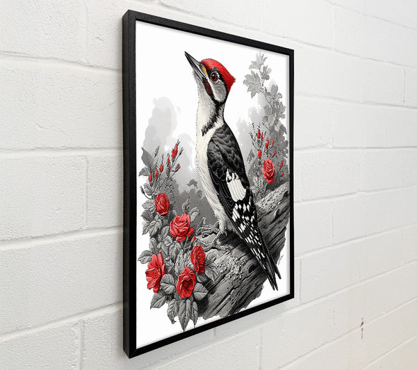 Crimson Woodpecker Song