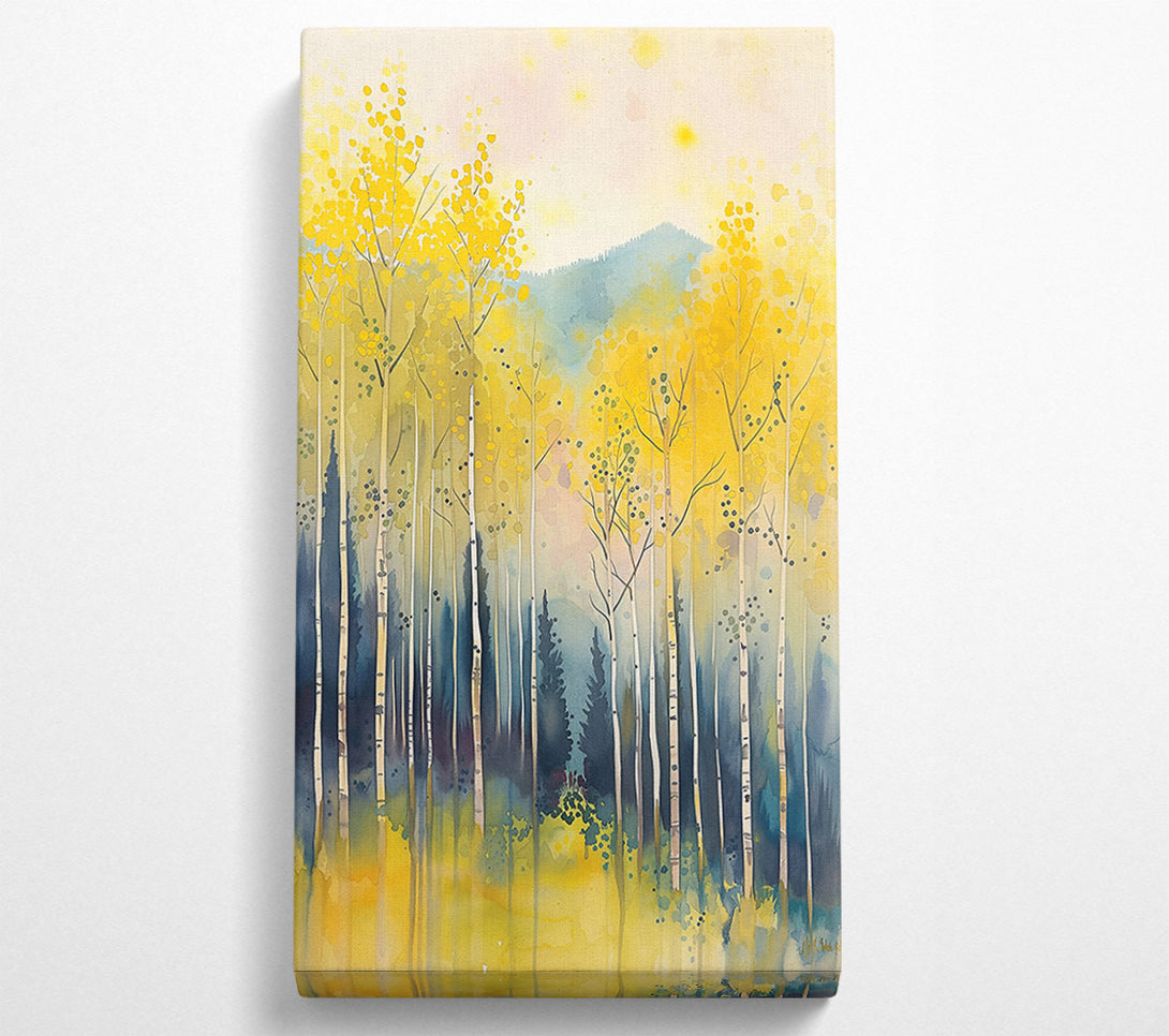  A Canvas Print of Golden Aspen Grove. Canvas Print