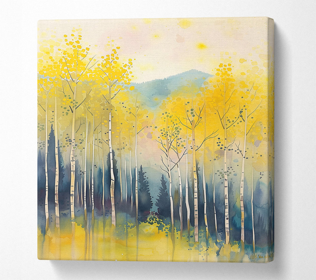  A Canvas Print of Golden Aspen Grove. Canvas Print