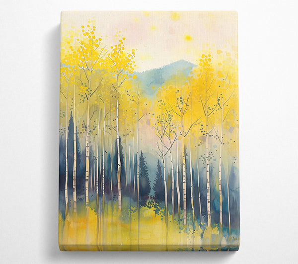  A Canvas Print of Golden Aspen Grove. Canvas Print