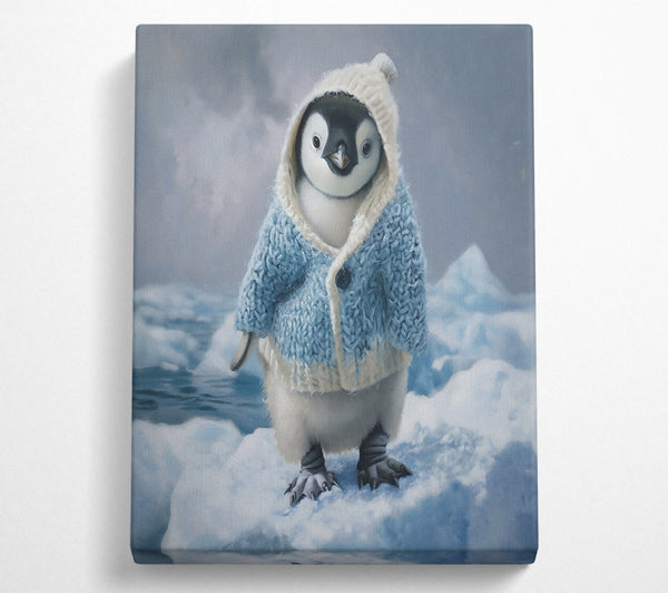  A Canvas Print of Baby Blue Penguin Canvas Art