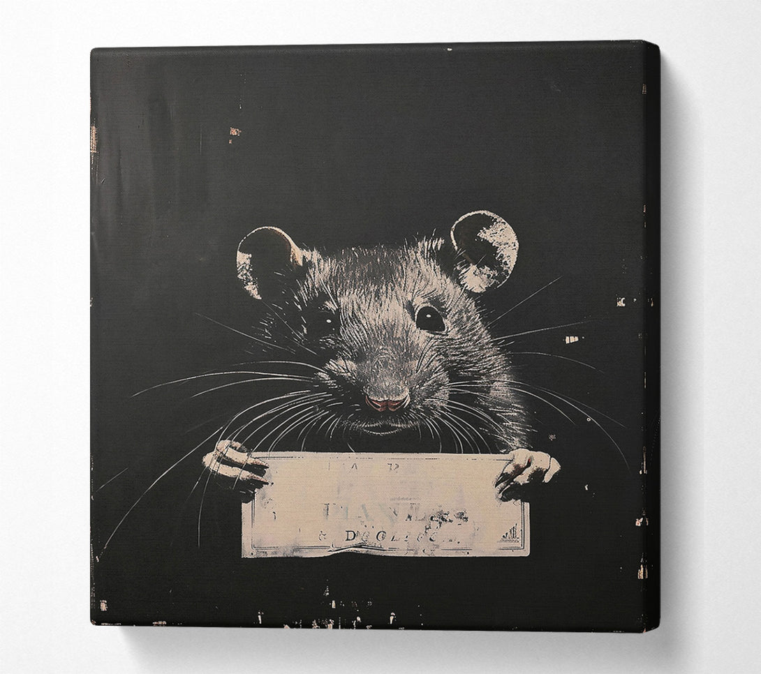  A Canvas Print of Black Rat'S Confession Canvas Art