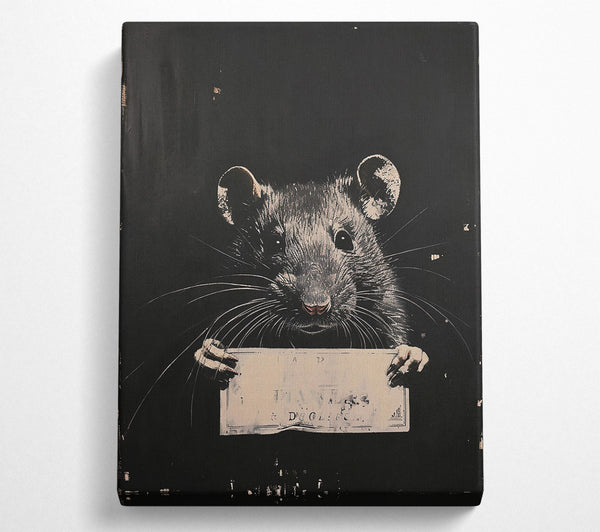  A Canvas Print of Black Rat'S Confession Canvas Art