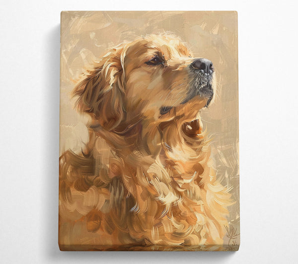  A Canvas Print of Golden Furry Gaze Canvas Print