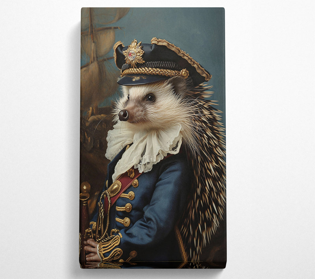  A Canvas Print of The Blue Admiral Canvas Print