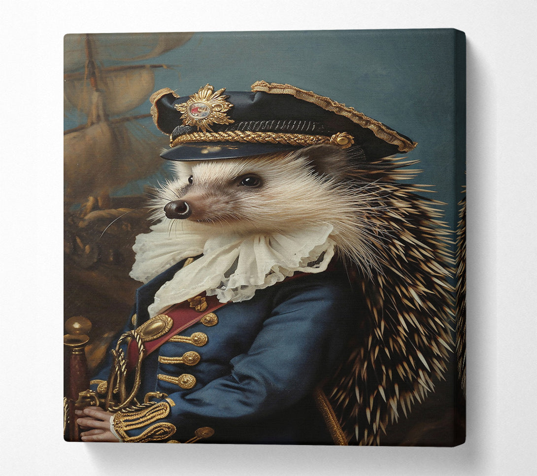  A Canvas Print of The Blue Admiral Canvas Print