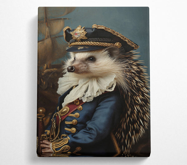  A Canvas Print of The Blue Admiral Canvas Print