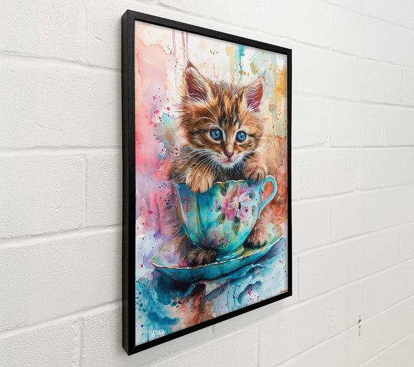 Blue Teacup Kitten