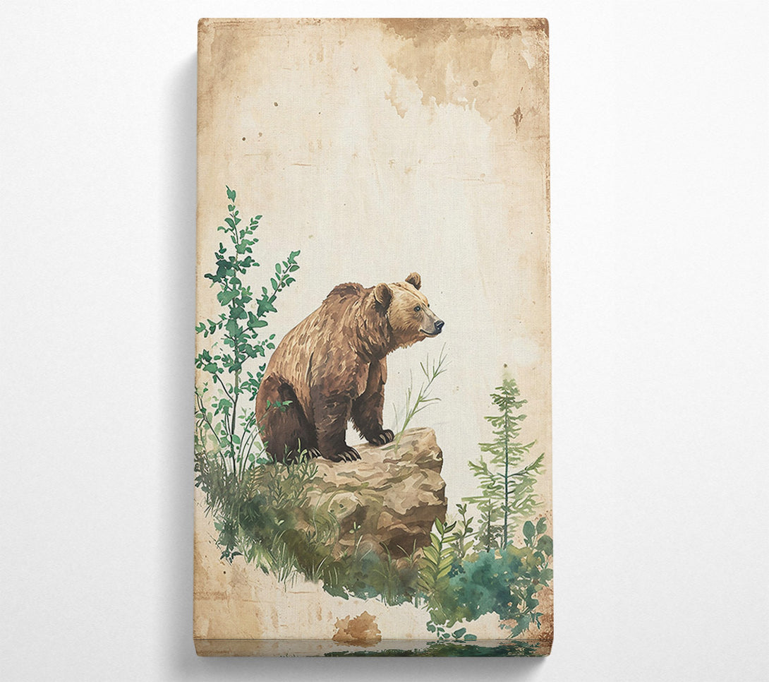  A Canvas Print of Brown Bear'S Lookout Canvas Print