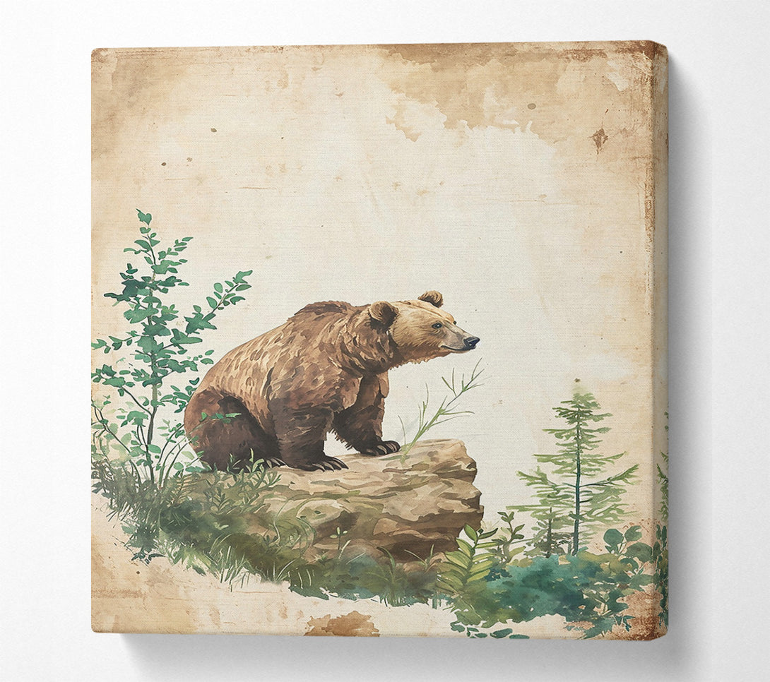  A Canvas Print of Brown Bear'S Lookout Canvas Print