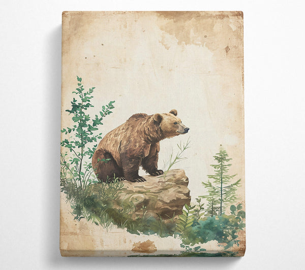  A Canvas Print of Brown Bear'S Lookout Canvas Print