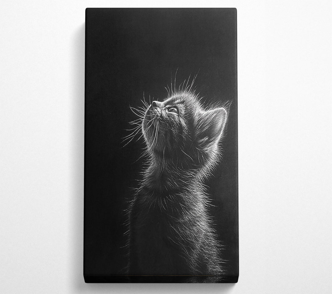  A Canvas Print of White Whisker Dreams Canvas Art