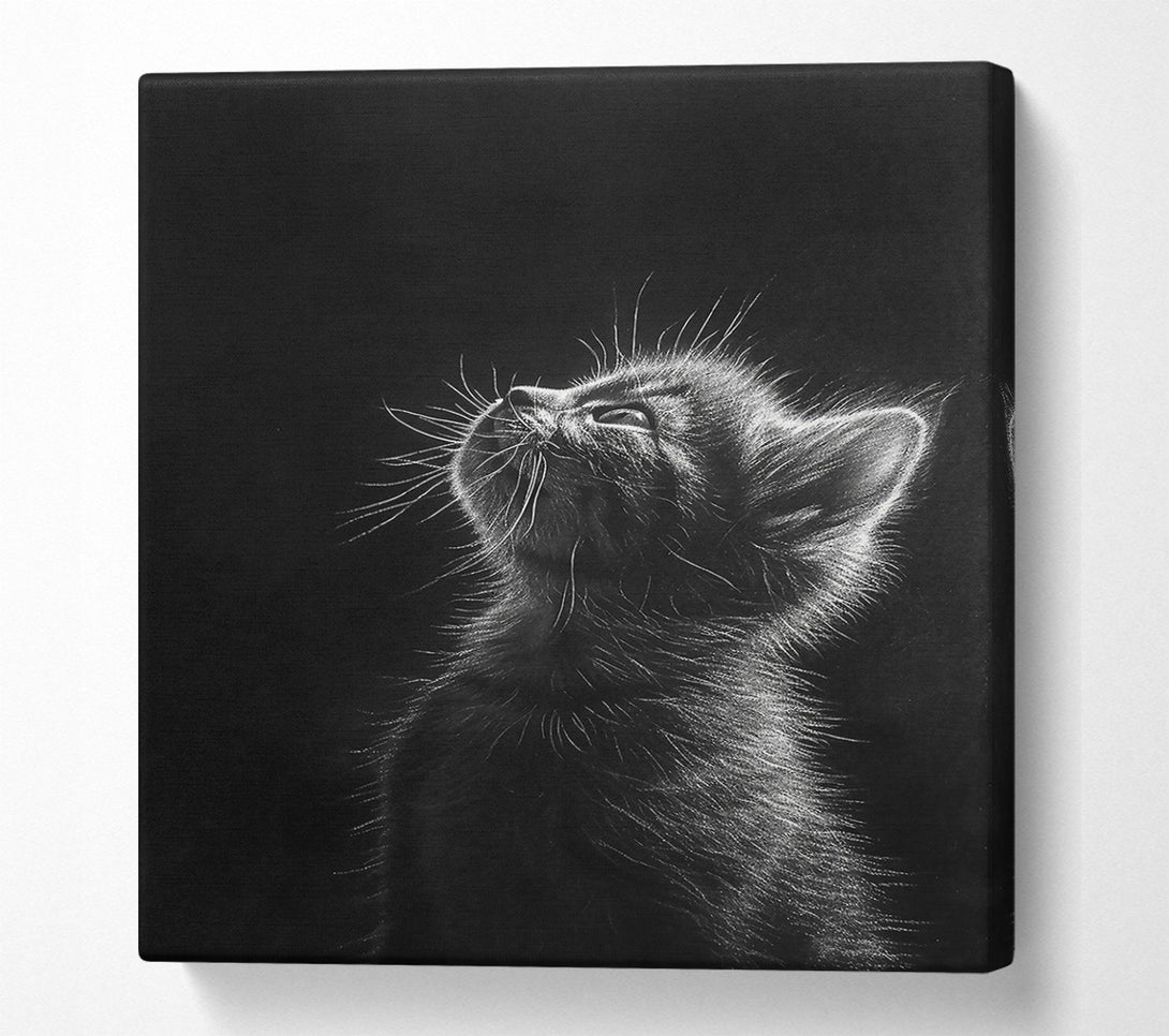  A Canvas Print of White Whisker Dreams Canvas Art