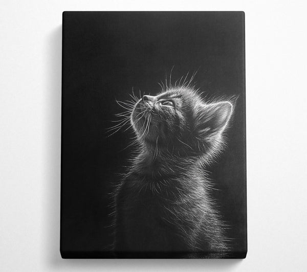  A Canvas Print of White Whisker Dreams Canvas Art