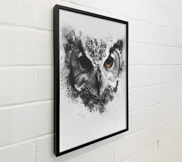 Golden Eye Owl.