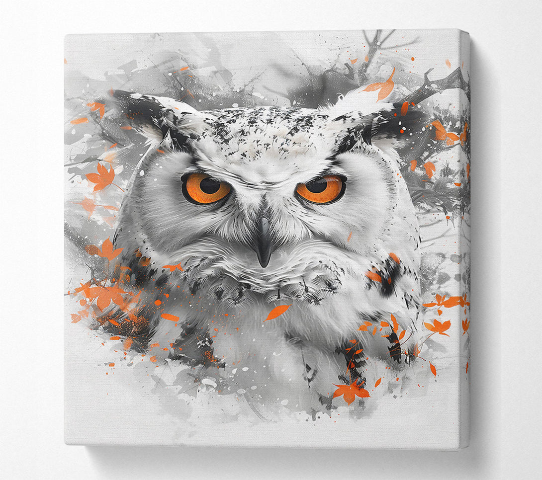  A Canvas Print of Orange Eyes In The Snow Canvas Art