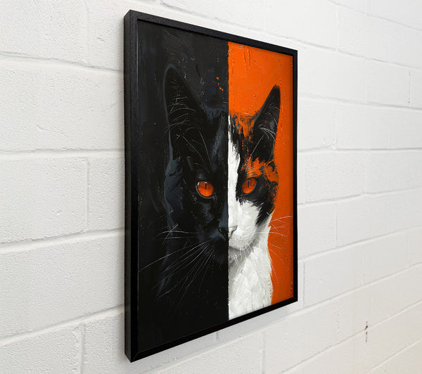 Orange Cat Split