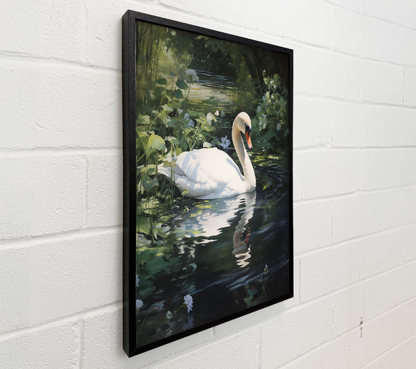 White Swan In Green Water