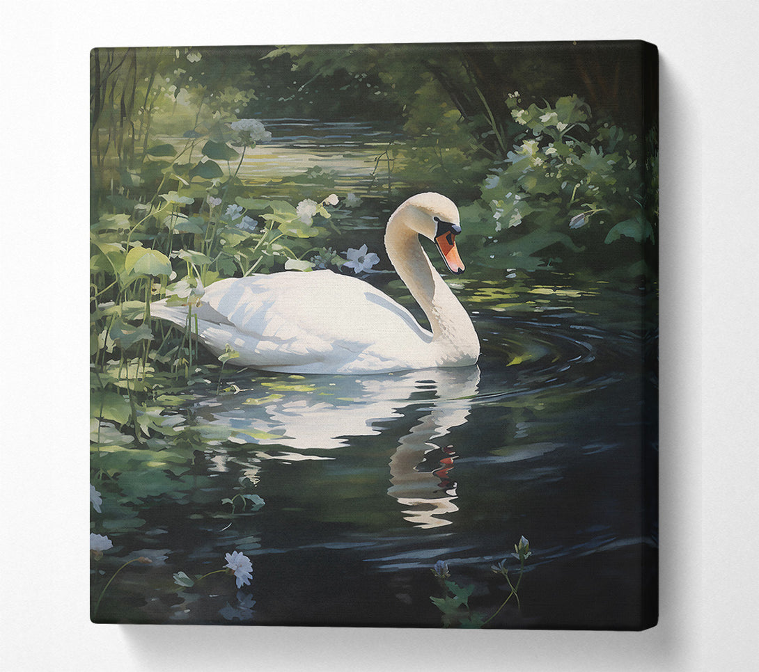  A Canvas Print of White Swan In Green Water Canvas Art