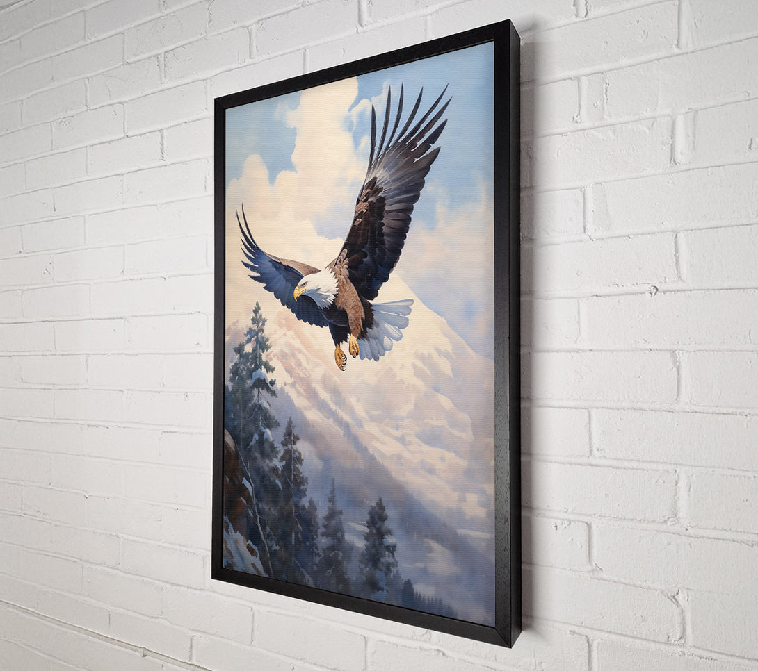  A Canvas Print of White-Tailed Soaring Eagle Canvas Print