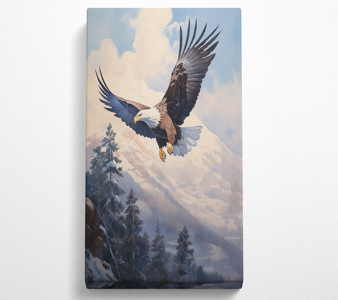  A Canvas Print of White-Tailed Soaring Eagle Canvas Print