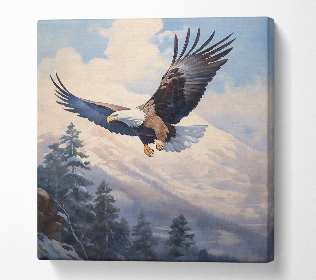  A Canvas Print of White-Tailed Soaring Eagle Canvas Print