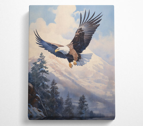  A Canvas Print of White-Tailed Soaring Eagle Canvas Print