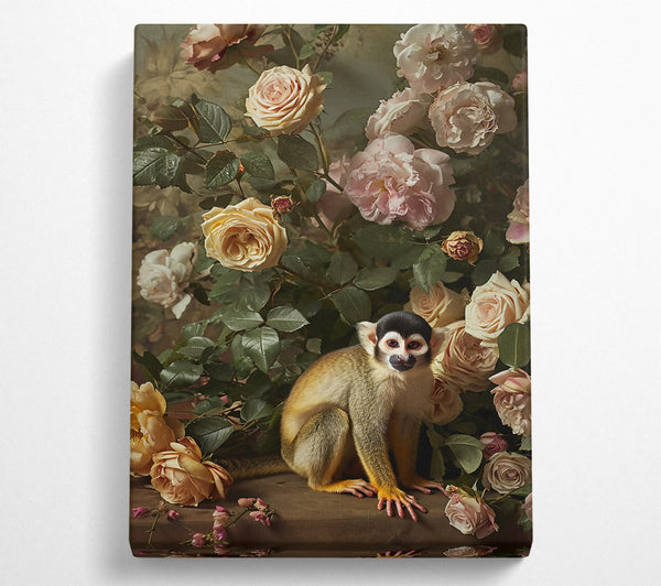  A Canvas Print of Blush Monkey Roses Canvas Wall Art