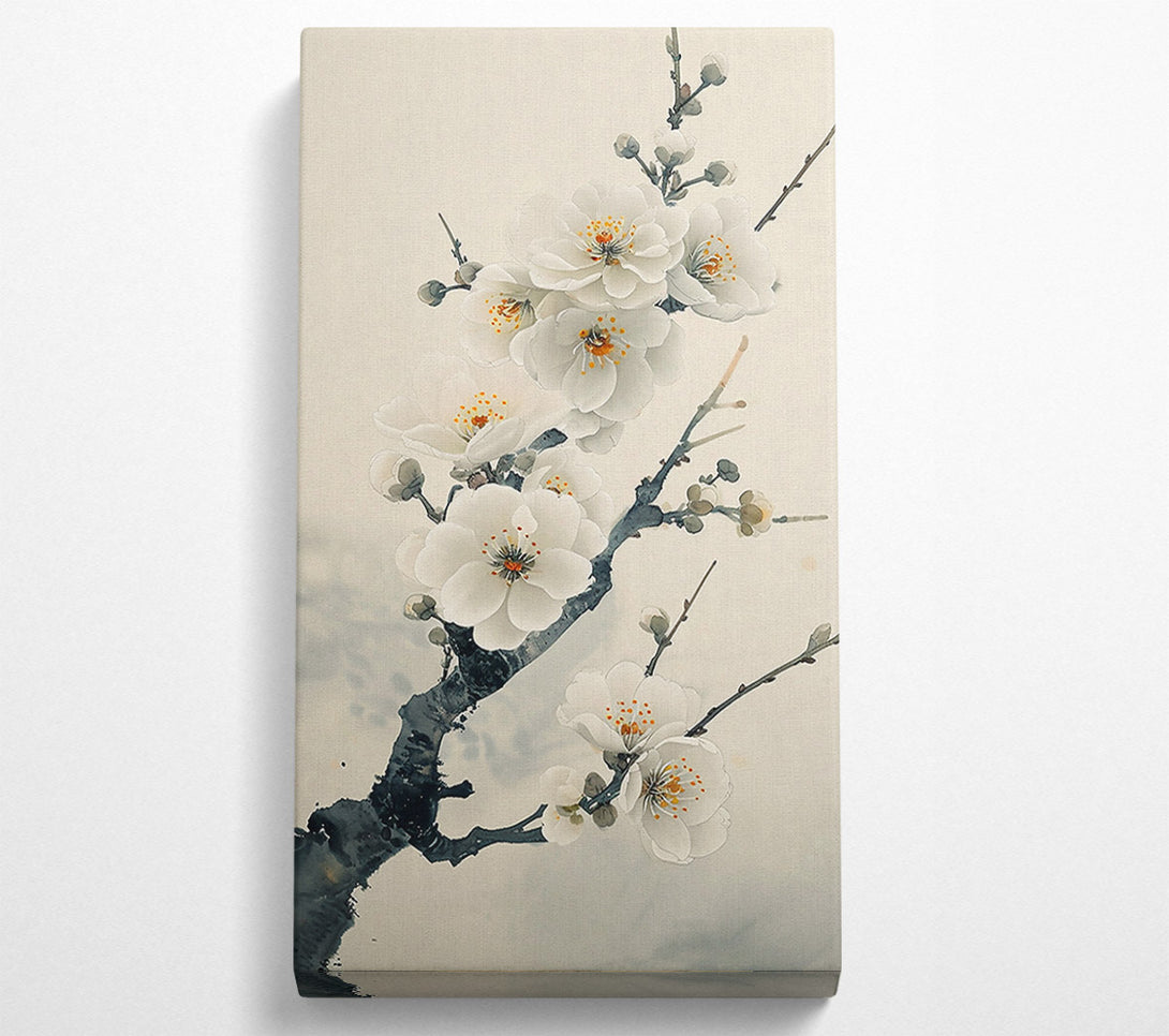  A Canvas Print of Pale White Blossoms Canvas Print