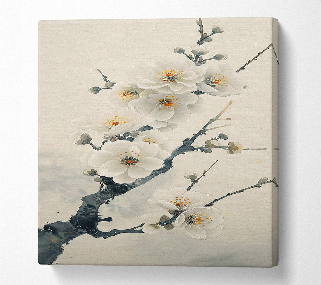  A Canvas Print of Pale White Blossoms Canvas Print