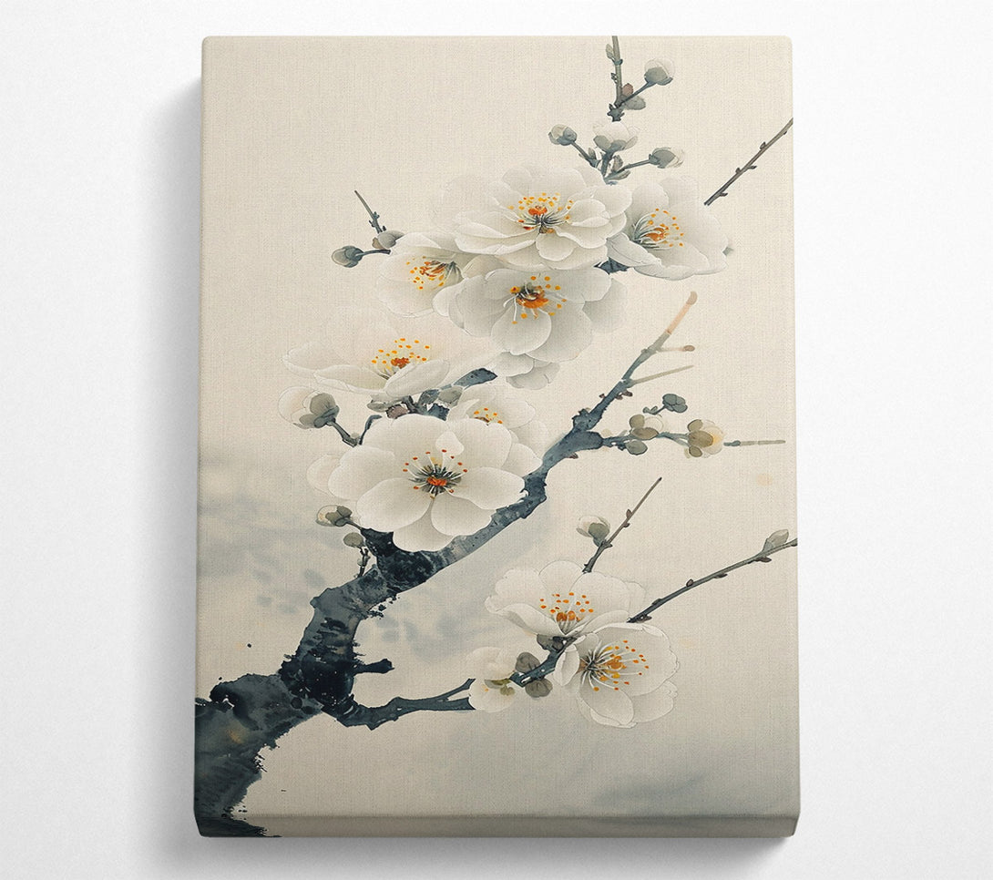  A Canvas Print of Pale White Blossoms Canvas Print