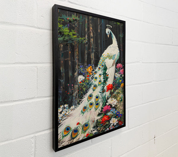 White Peacock In Bloom.