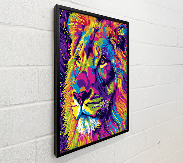 Purple Majesty Lion