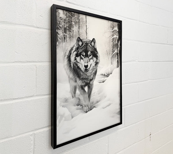 Gray Wolf'S Path