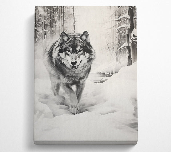  A Canvas Print of Gray Wolf'S Path Canvas Wall Art
